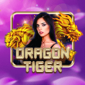 Dragon Tiger live casino game at Ph Moba